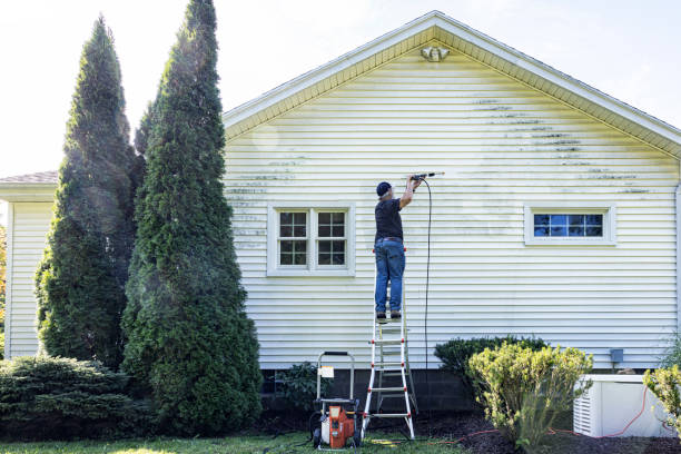 Best Commercial Building Pressure Washing  in Diamond, IL